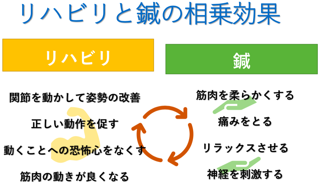 画期的なリハビリ！理学療法士・作業療法士＆鍼灸師